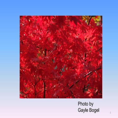 Virtual Marketing NELA 2010