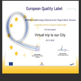 Virtual Trip European Label