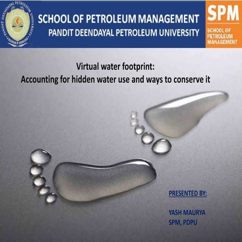 "Virtual Water Footprint:  Accounting for hidden water use and ways to conser...