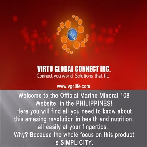 Virtuglobalcoonections1