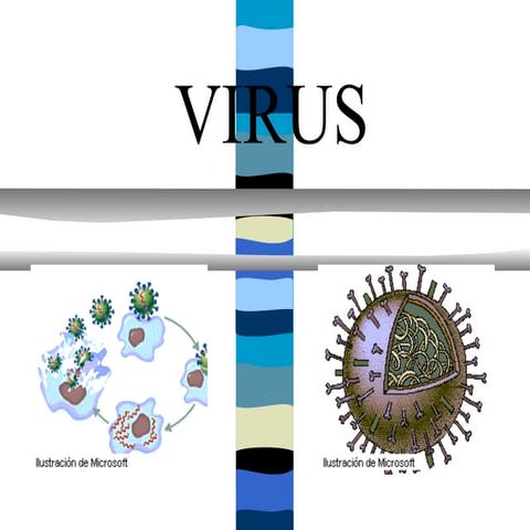 Virus