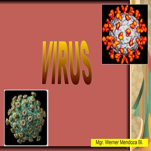 Virus