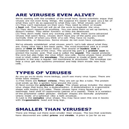 Virus powerpoint