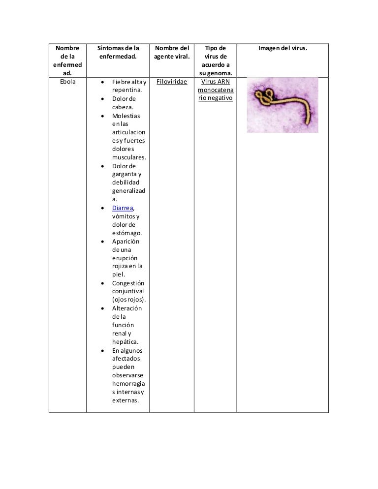 virus estomago y fiebre