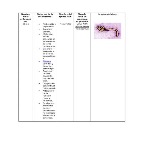Verrugas, herpes, mixovirus | PPSX