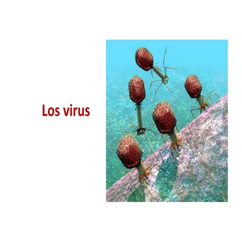 Virus