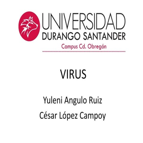 Virus (Morfología,Componentes y Replicación).
