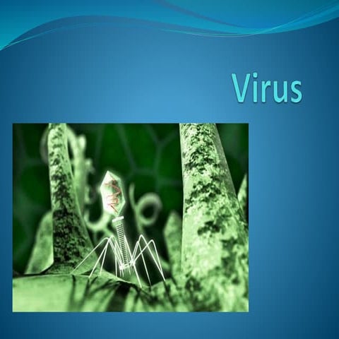 Virus