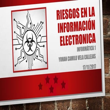 Riesgos en la información electronica