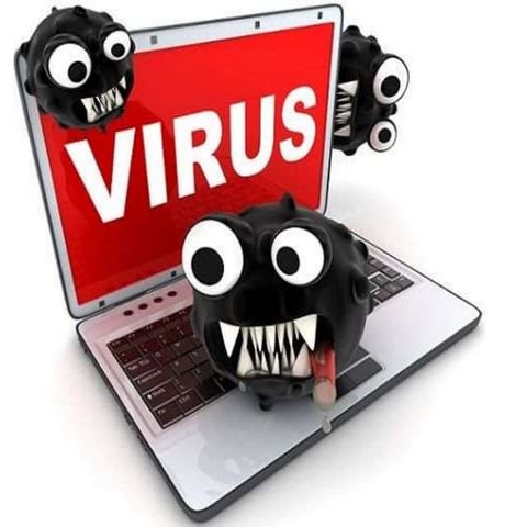 Virus