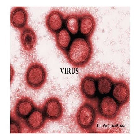 Virus