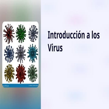 Introducción a los Virus, clasificaciones
