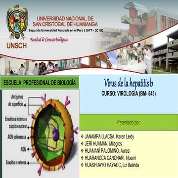 VIRUS DE LA HEPATITIS B | PPTX