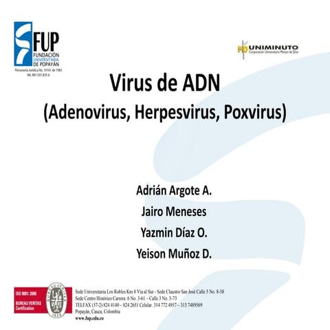 Virus adn