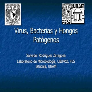 Virus, bacterias y hongos patógenos