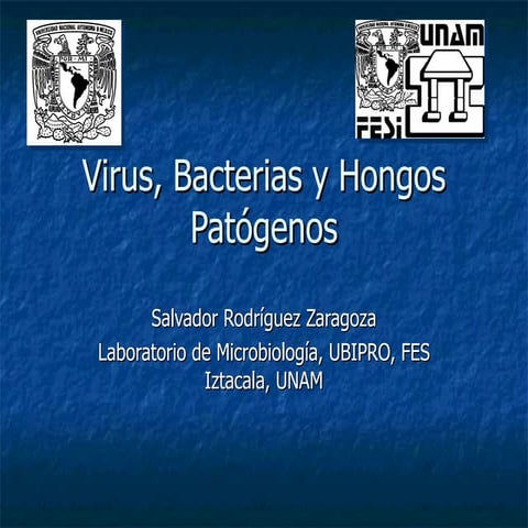 Virus, bacterias y hongos patógenos