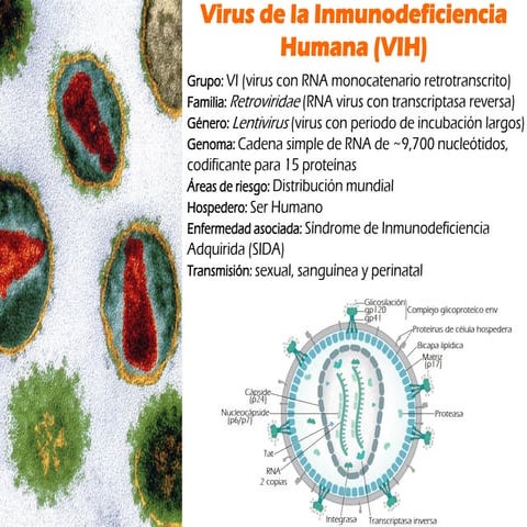 VIH Virus de la Inmunodeficiencia humana