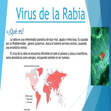 Definicion-y-epidemiologia-de-la-rabia-humana.pptx