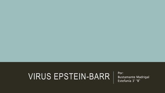 Virus de epstein barr | PPT