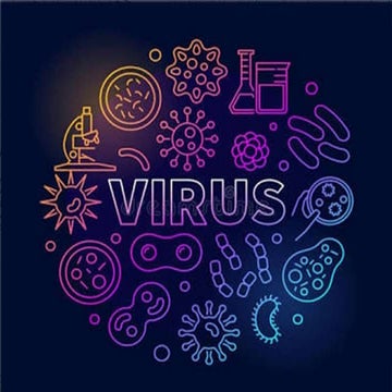 Viruses | PPT