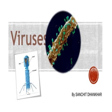 Viruses-  Pharmaceutical Microbiology