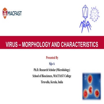 Viruses – Structure, Classification, and Diseases | PPTX