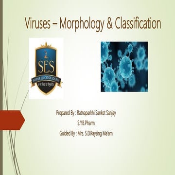 Viruses – Morphology & Classification.pptx