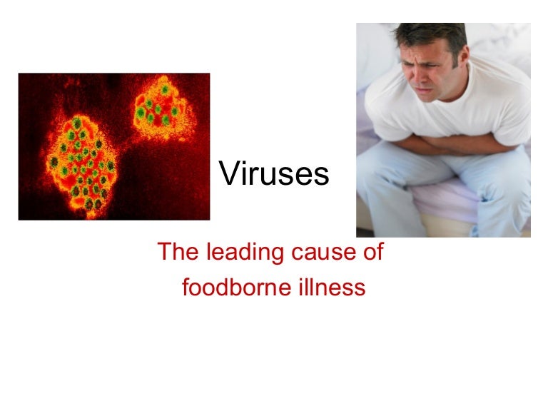 Foods II Viruses ppt