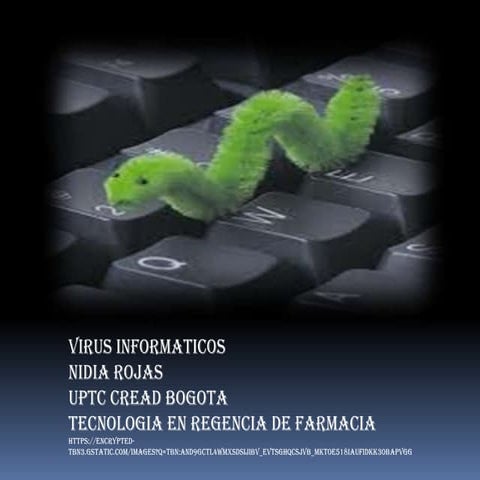 Virus informaticos