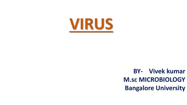 Virus