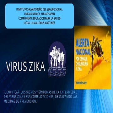 Virus zika 2
