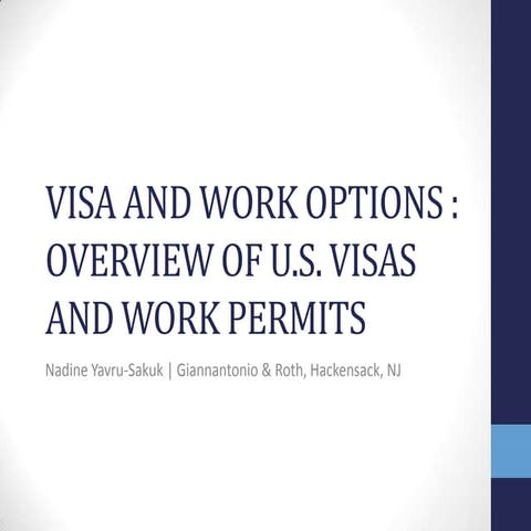 Visa and Work Options: Overview of U.S. Visas and Work Permits