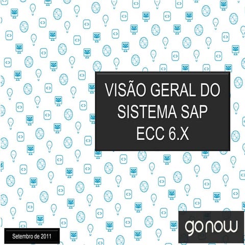 Visao Geral  Sistema ERP SAP