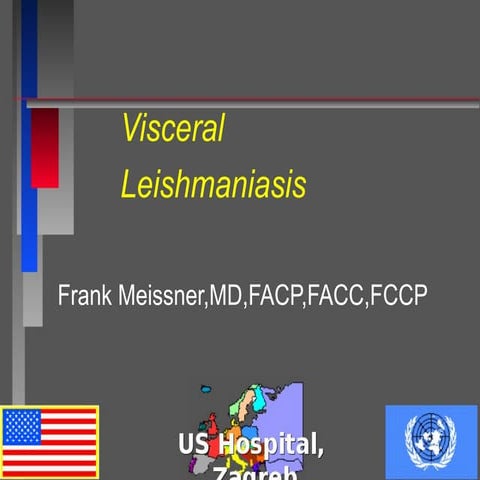 Visceral leishmanasis