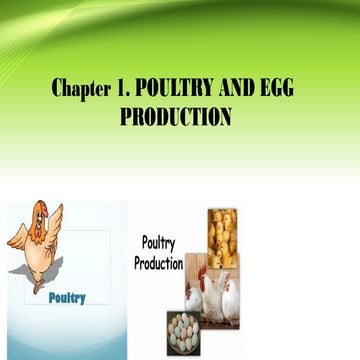 Poultry and Egg production-181216014054.pptx