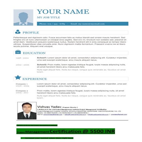 Vishvas resume template-10