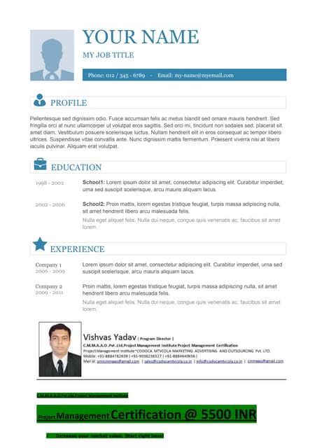Vishvas resume template-10