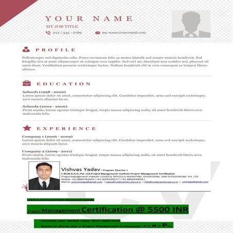 Vishvas resume template-15