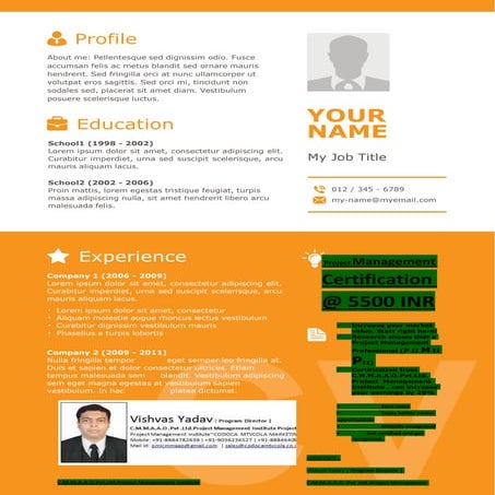 Vishvas resume template-19