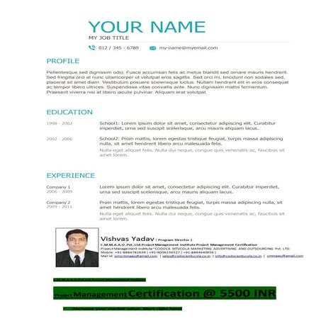 Vishvas resume template-2