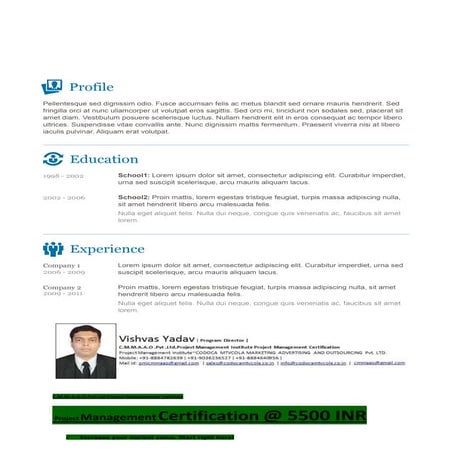 Vishvas resume template-3
