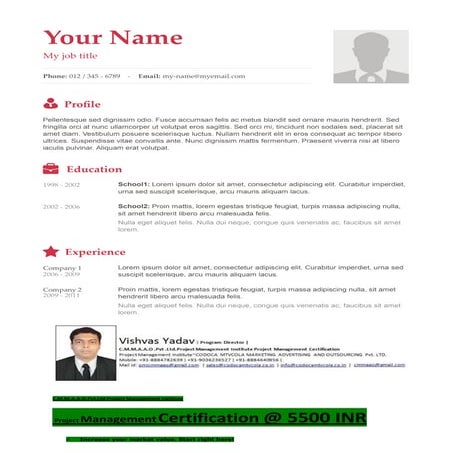 Vishvas resume template-6