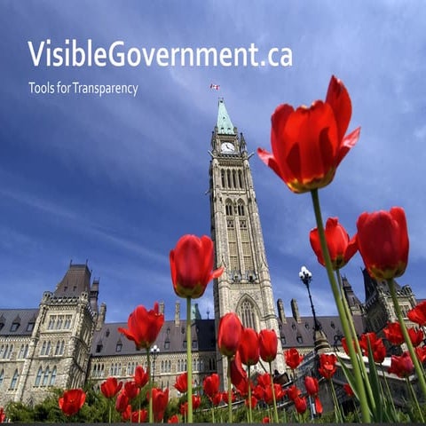 Visible Government Full Pitch