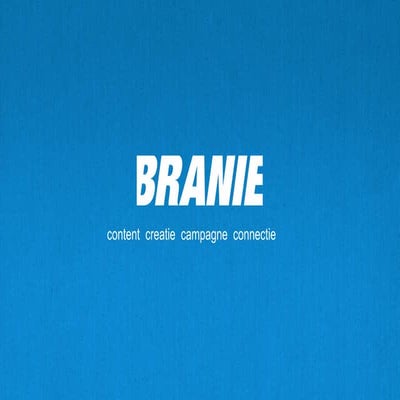 Branie's visie op online samenwerken