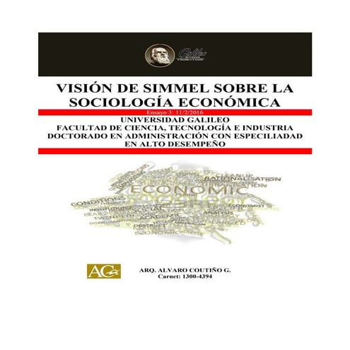Visión de Simmel sobre la Sociologia económica