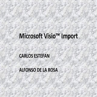 Flexsim y Visio