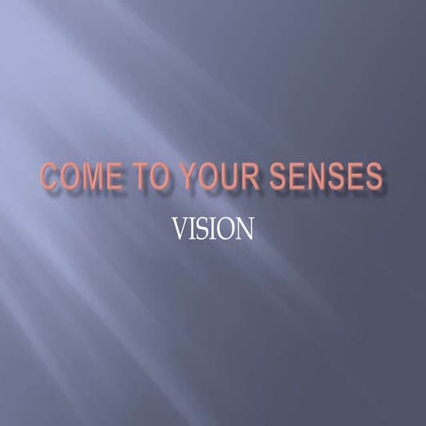 Vision 090505113755 Phpapp02