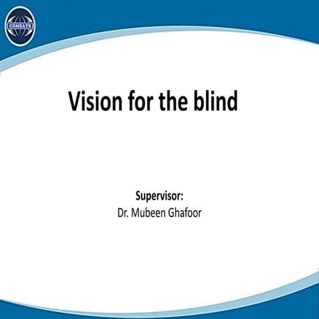 Vision for the blind