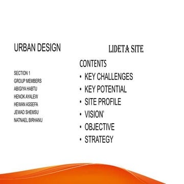 vision of lideta ,objective,stratage,program