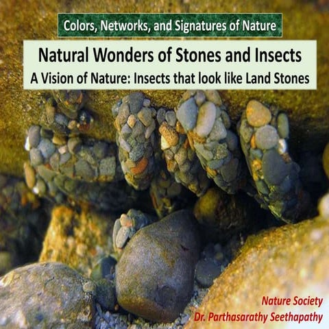 Vision of Nature Insects that looks like Land Stones Vol 1.pptx